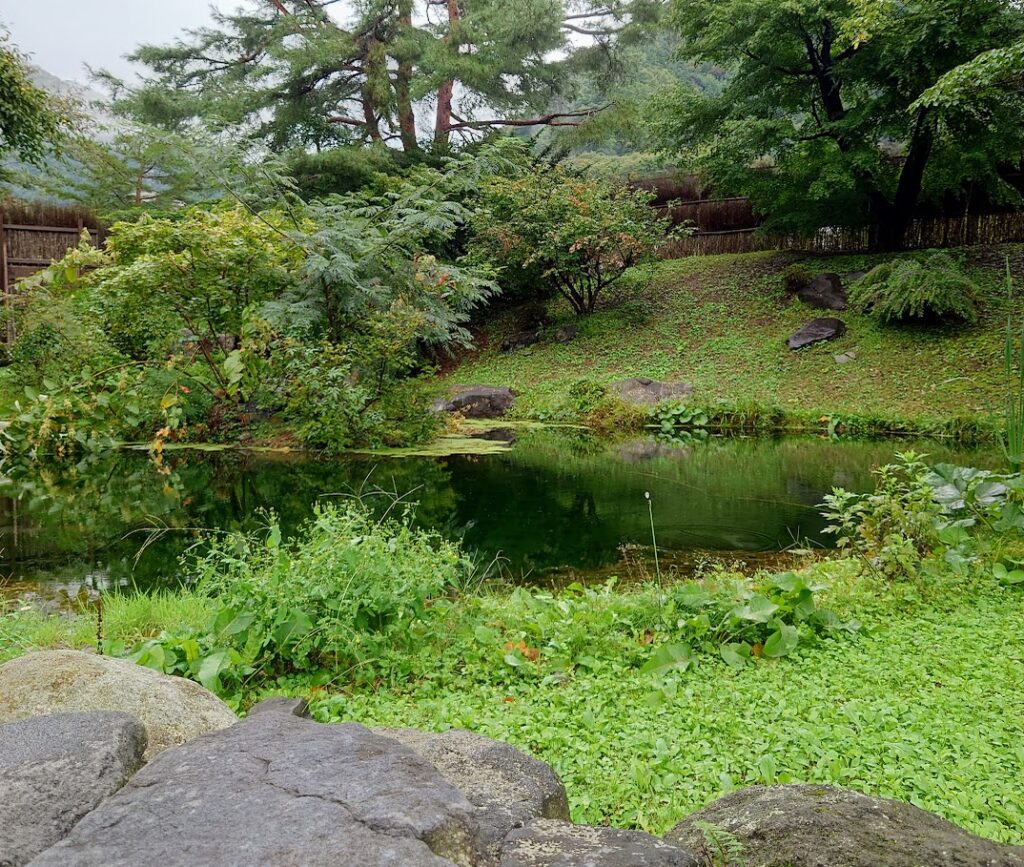 水上温泉「松乃井」の庭園風呂「蛍あかりの湯」の露天風呂から、美しい池が見える